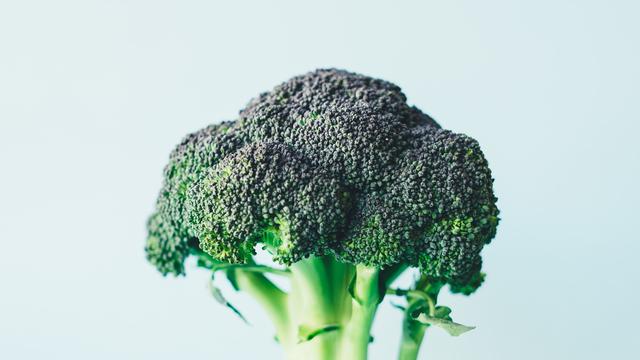 [Fimela] ekstrak brokoli