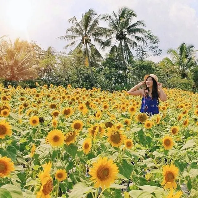 Dewari Park, Magelang