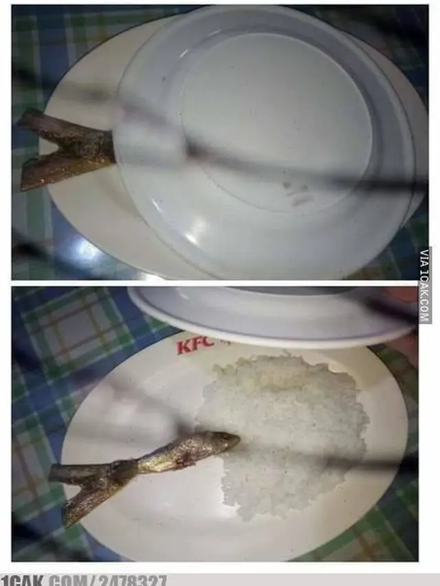 6 Potret Makan Irit Pakai Seafood Ini Bikin Tepuk Jidat