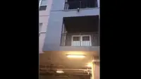 Video anjing yang akan jatuh dari balkon lantai 3, Tampa, Florida (facebook/terlisa perry)