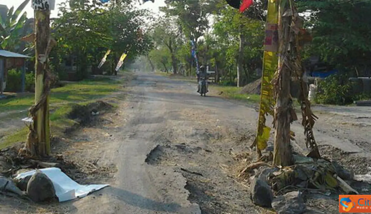 Citizen6, Ngawi: Jalan raya yang sudah beralih fungsi menjadi kebun pisang ini karena kurangnya perhatian dari Pemerintah Daerah Kabupaten Ngawi, Desa Kartoharjo. (Pengirim: Adi Pamungkas)