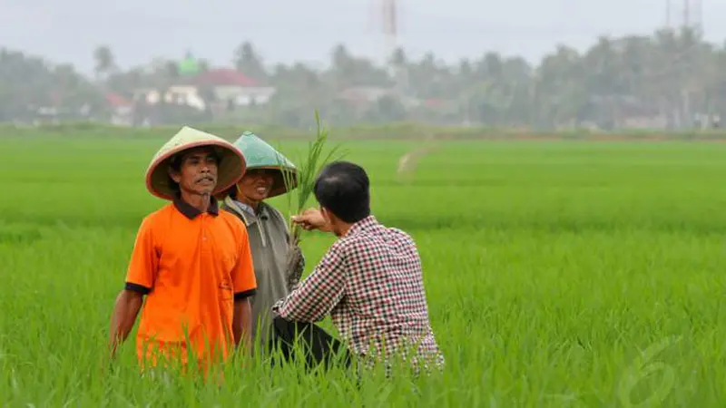 Ini Syarat Penyuluh Pertanian Bisa Diangkat Menjadi PNS