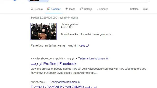 Gambar Tangkapan Layar Pencarian dengan Google Images
