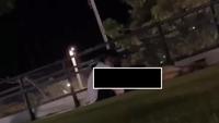 Viral Video Sejoli Bermesraan di Alun-alun Kota Tuban