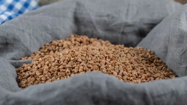 Ilustrasi Pakan Pelet