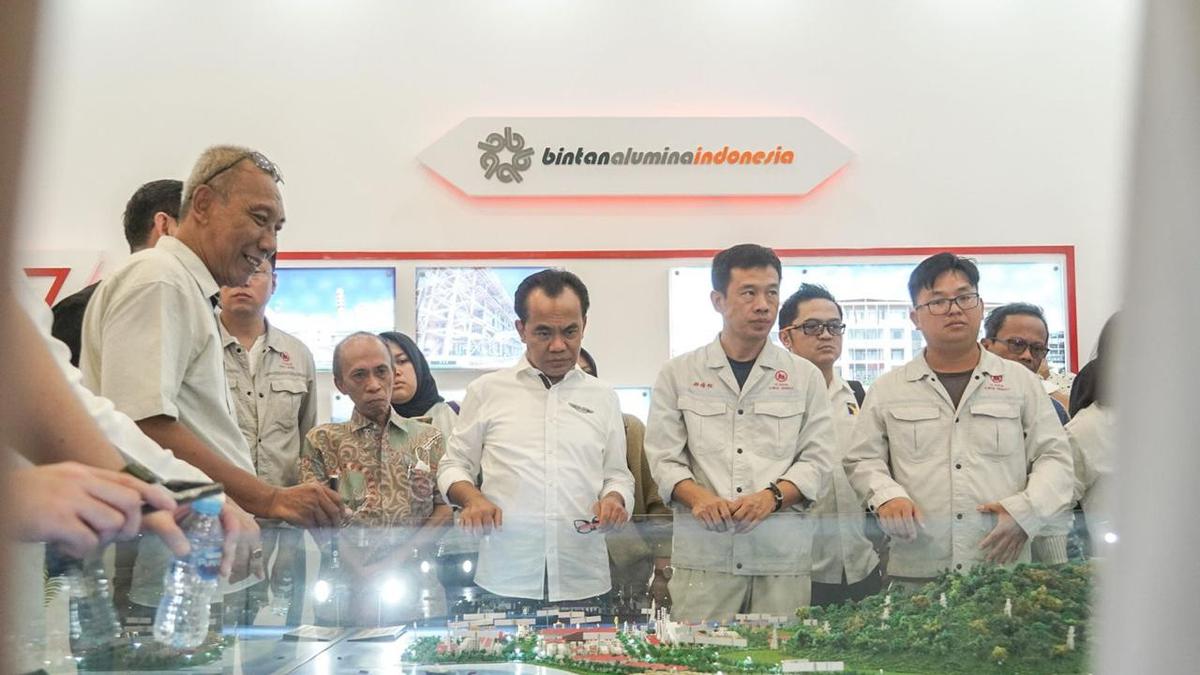 Investasi Kawasan Ekonomi Khusus Tembus Rp 353,5 Triliun