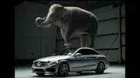 Mercedes-Benz C-Class ketahanan dengan diinjak gajah.