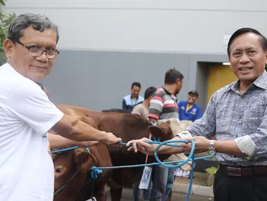 Direktur SCM Imam Sudjarwo menyerahkan 1 ekor sapi ke perwakilan camat Duri Kepa saat penyerahan hewan kurban 1439 H di Studio 5 Indosiar, Jakarta, Kamis (16/8). SCM membagikan hewan kurban sebanyak 5 sapi dan 45 kambing. (Liputan6.com/Herman Zakharia)