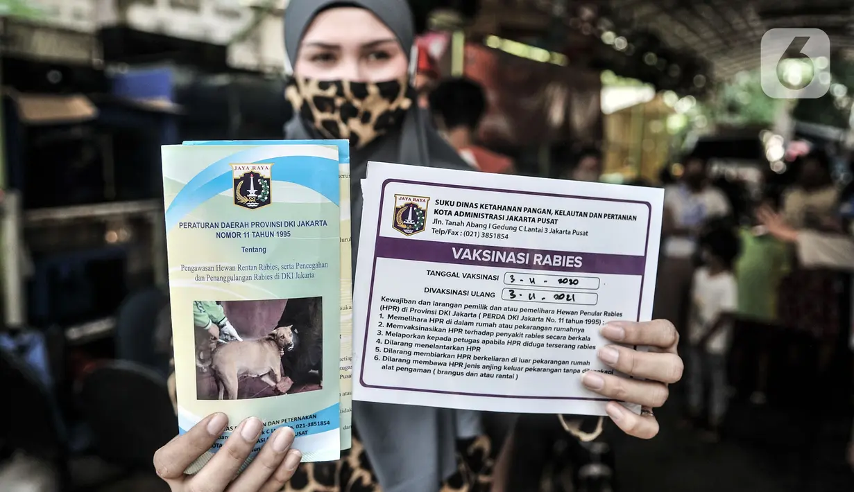 Warga menunjukkan stiker bebas rabies usai mengikuti vaksinansi hewan di Pos RW 04, Kelurahan Kebon Kelapa, Kecamatan Gambir, Jakarta, Selasa (3/11/2020). Selain di Pos RW setempat, vaksinasi rabies secara gratis dilakukan dengan sistem jemput bola ke rumah warga. (merdeka.com/Iqbal S Nugroho)