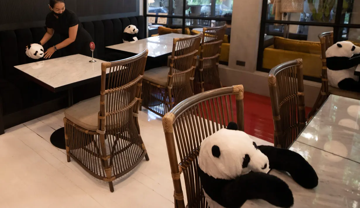 Pramusaji restoran Maison Saigon menggunakan boneka panda untuk menjaga jarak para tamu di Bangkok, Rabu (13/5/2020). Pemerintah Thailand sudah memberlakukan pelonggaran lockdown atau pembatasan wilayah sehingga sejumlah restoran dan toko-toko dapat beroperasi kembali. (AP/Sakchai Lalit)