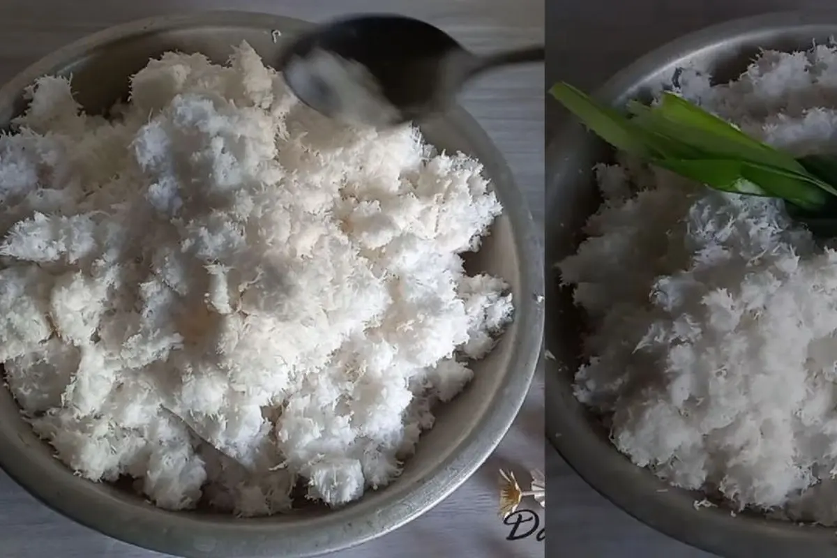 Jangan Langsung Dimasukkan Kulkas, Ini Cara Simpan Kelapa Parut  Agar Awet hingga 1 Bulan