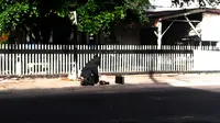 Koper diduga berisi bom tergeletak di depan pagar sebuah tempat ibadah di Jalan KH Ahmad Dahlan, Pekanbaru, Riau. (Liputan6.com/M Syukur)