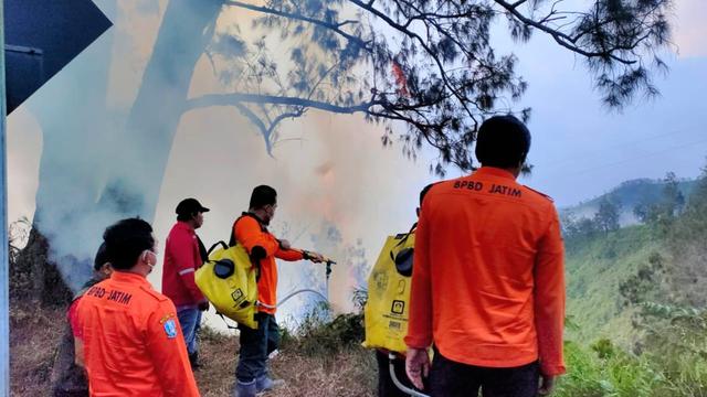 Kebakaran kembali melanda kawasan Gunung Bromo. (Istimewa)