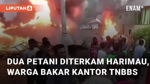 VIDEO: Dua Petani Tewas Diterkam Harimau, Warga Emosi dan Bakar Kantor PPA dan TNBBS