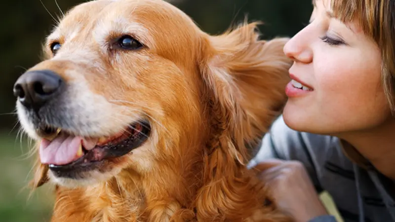 Mau Terlihat 10 Tahun Lebih Muda? Pelihara Anjing