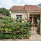 6 Ide Kebun Sayur untuk Rumah Type 36 dengan Lahan Terbatas, Praktis dan Hemat Tempat