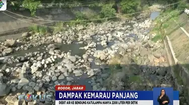 Petugas pun terpaksa membagi volume air yang hanya 2.200 liter per detik ke aliran Kali Baru untuk irigasi dan 200 liter per detik bagi ekosistem Ciliwung