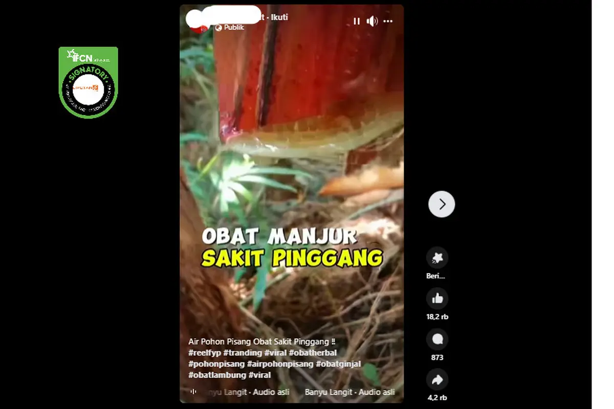 Tangkapan layar klaim air batang pohon pisang obat manjur sakit pinggang