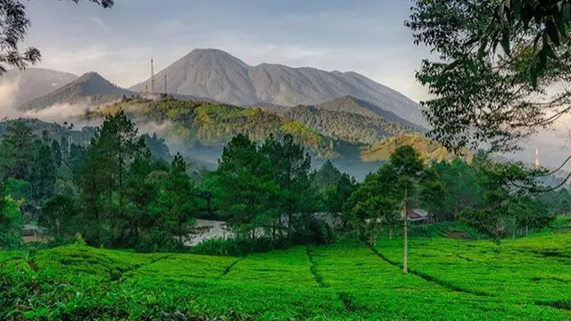 Kawasan Puncak Bogor.