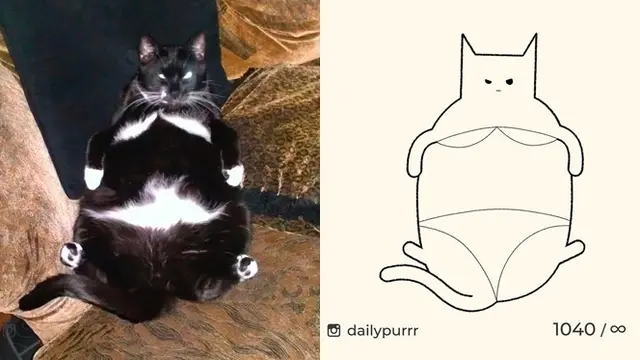 8 Gambar Kucing yang Tak Sesuai Ekspektasi, Ternyata Hasilnya Bikin Salut