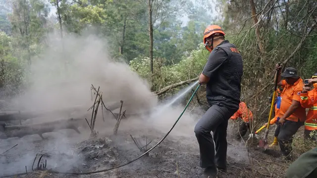 Petugan BPBD memadamkan api di Bukit Teletubbies Bromo. (Istimewa)