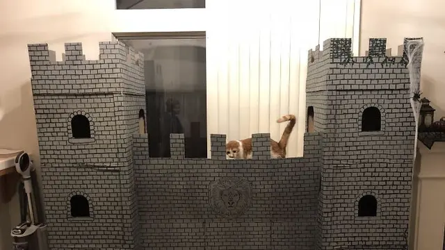 miniatur rumah kucing