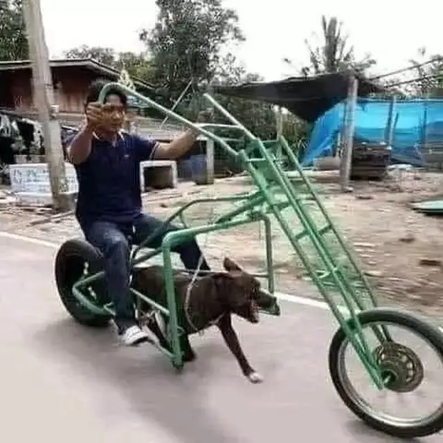 Kumpulan Potret Sepeda Motor yang Mungkin Bisa Bikin Penggunanya Tampil Menawan (ist)