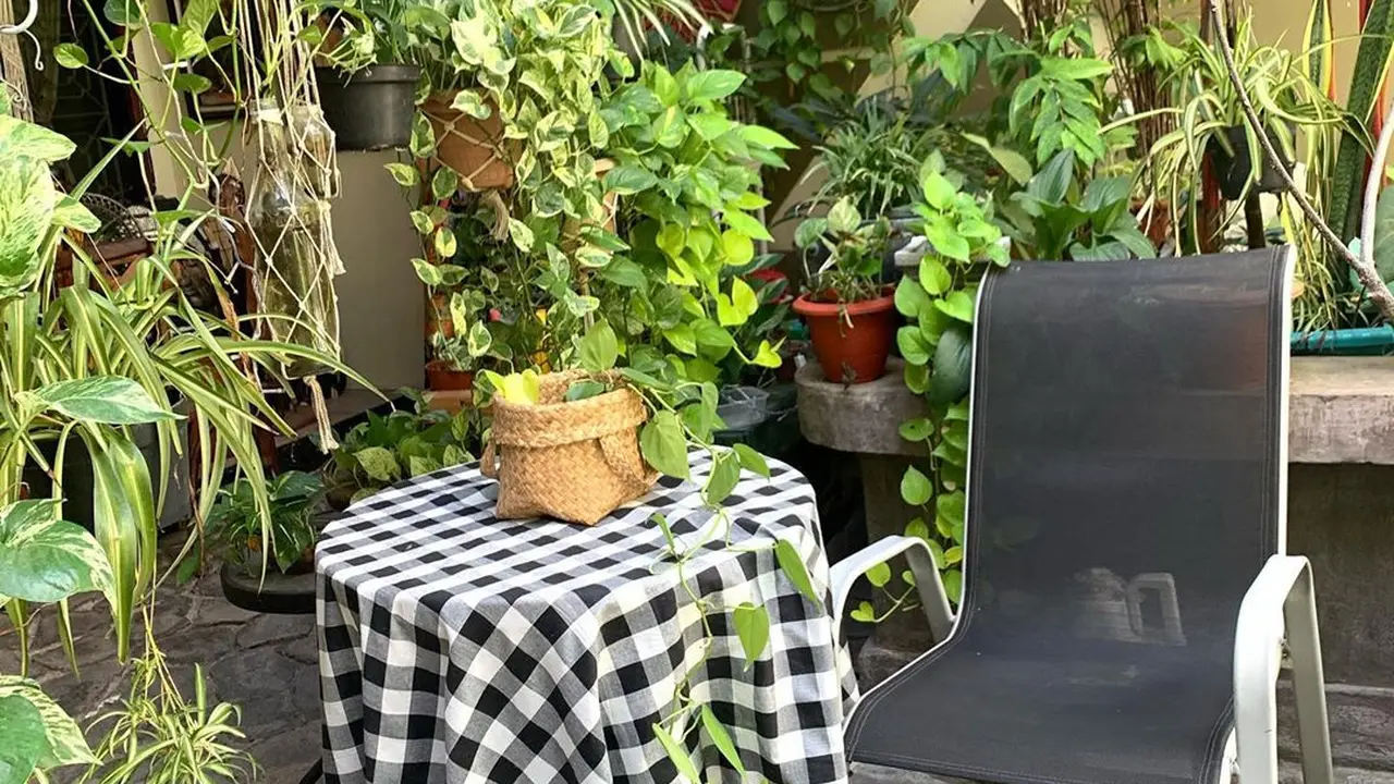 Kebun Devi Natalia
