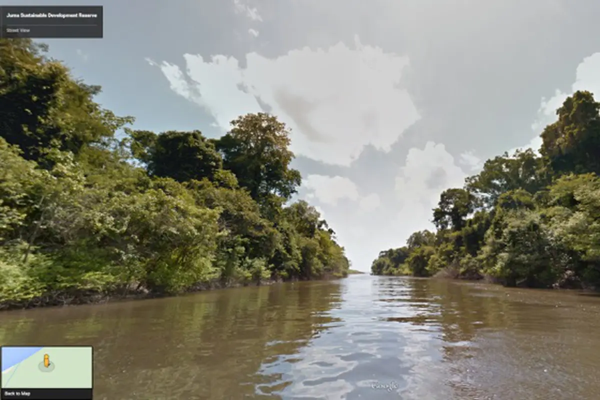 Yuk, Jelajahi Hutan Amazon di Google Street View