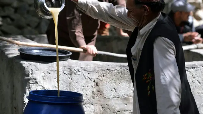 Mengintip Tempat Pembuatan Wine Lokal di Desa Terpencil Pakistan