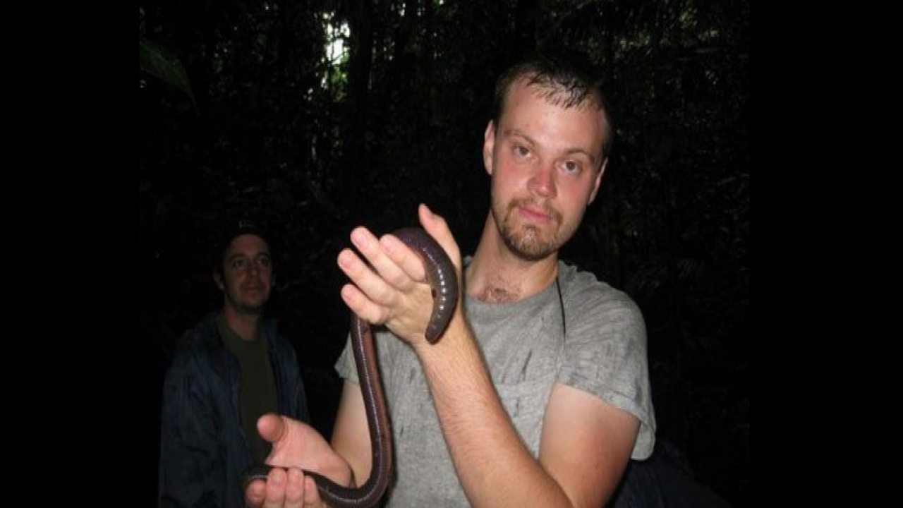 Gippsland worm. (Oddity Central)