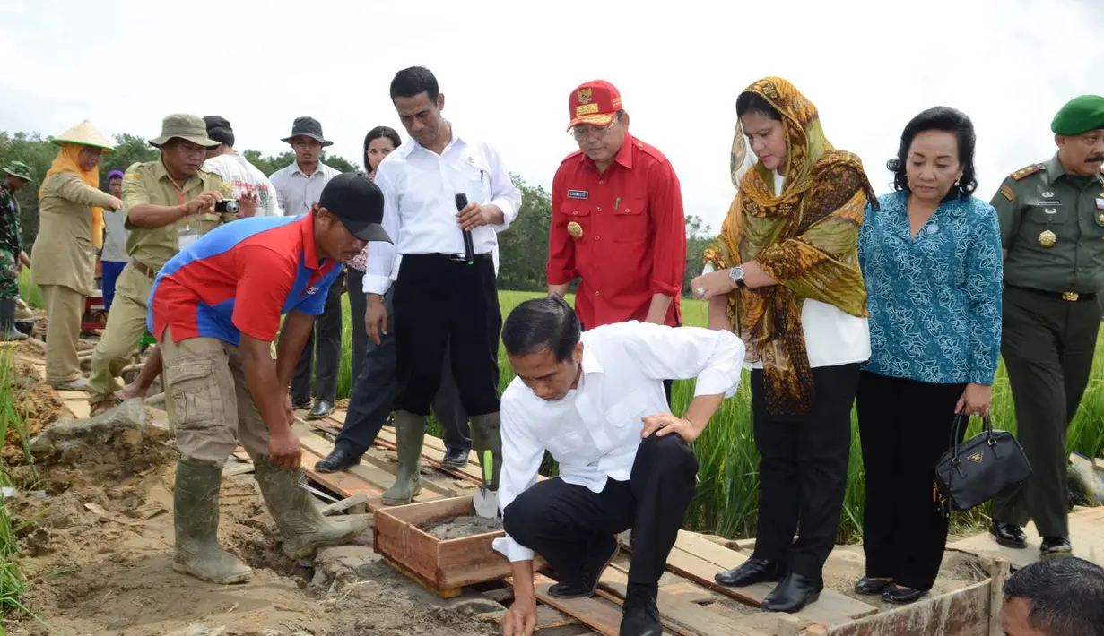 Presiden Joko Widodo meletakkan batu pertama pembangunan saluran irigasi tersier di Bendungan Irigasi Tersier Desa Mandor Kabupaten Landak, Kalbar, Selasa (20/1/2015). (Rumgapres/Agus Suparto)