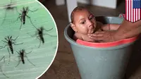 Brasil Nyatakan Perang dengan Nyamuk Penyebar Virus Zika