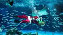 Seorang penyelam berkostum Sinterklas berenang bersama ikan-ikan di Akuarium Sunshine dalam persiapan untuk acara spesial Natal mendatang di Tokyo pada 1 Desember 2025. Menyambut menyambut musim liburan Natal 2025 dan Tahun Baru 2026, seorang penyelam berkostum Sinterklas berenang bersama ikan-ikan di Akuarium Sunshine, Tokyo, Jepang. (Kazuhiro NOGI/AFP)