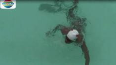 Berita video target tim renang Indonesia meraih 4 medali emas di Asian Para Games 2018 (Fokus Indosiar).