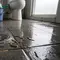 Cara Mengatasi Cacing yang Muncul di Kamar Mandi, Ketahui Penyebab dan Pencegahannya