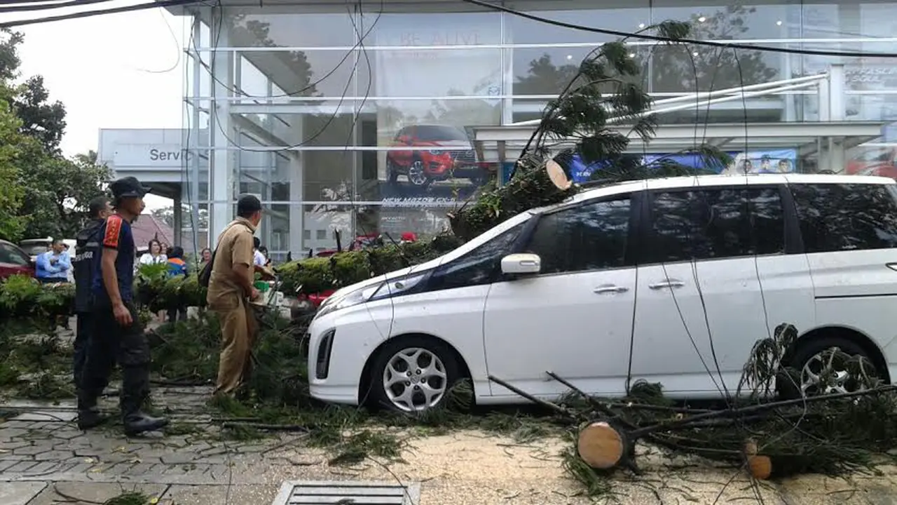 Pohon tumbang di Bogor timpa mobil