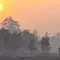 Kabut Asap Pekat, Penerbangan Sampit Lumpuh Total