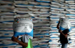 PT Pupuk Indonesia (Persero) memastikan stok pupuk subsidi cukup di tengah meningkatnya permintaan menjelang musim tanam.