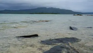Kapal Feri Tenggelam di Vanuatu, 1 Tewas dan 30 Orang Lainnya Hilang