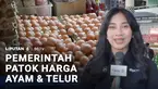 Pemerintah akhirnya menetapkan harga acuan peternak ayam dan telur yang sudah beberapa minggu terakhir anjlok. Ayam hidup dihargai Rp19.500 dan telur ayam Rp24.000 per kilogram. Kita lihat bagaimana praktiknya di pasar?