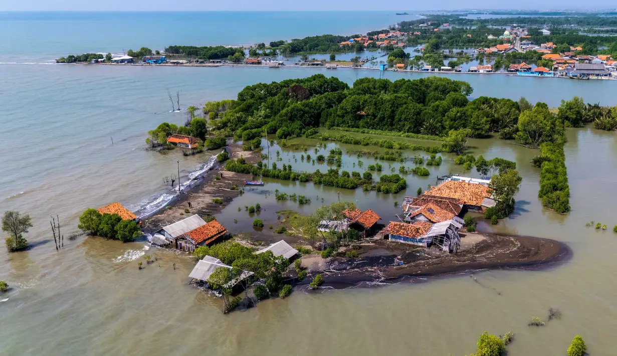 Sejumlah wilayah pesisir utara Jawa Tengah terancam tenggelam. Tampak dalam foto yang diambil pada 29 Juli 2025 menunjukkan pemandangan udara rumah-rumah yang terbengkalai dan sebagian terendam air, yang hilang akibat kenaikan pasang surut akibat perubahan iklim, di Desa Semonet, Pekalongan, Jawa Tengah. (BAY ISMOYO/AFP)