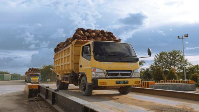 PT Austindo Nusantara Jaya Tbk