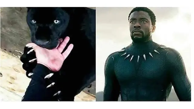 9 Foto Awal Mula Superhero ala Netizen yang Kocak Banget