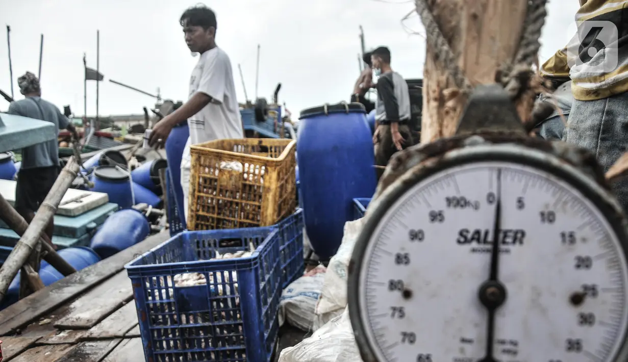 Nelayan menimbang ikan hasil tangkapan di dermaga Kalibaru, Cilincing, Jakarta Utara, Rabu (23/3/2022). PT Perikanan Indonesia (Persero) mengungkapkan sejumlah jenis ikan mengalami kenaikan harga berkisar Rp1.000-Rp2.000 per kg akibat tingginya permintaan jelang Ramadan (merdeka.com/Iqbal S Nugroho)