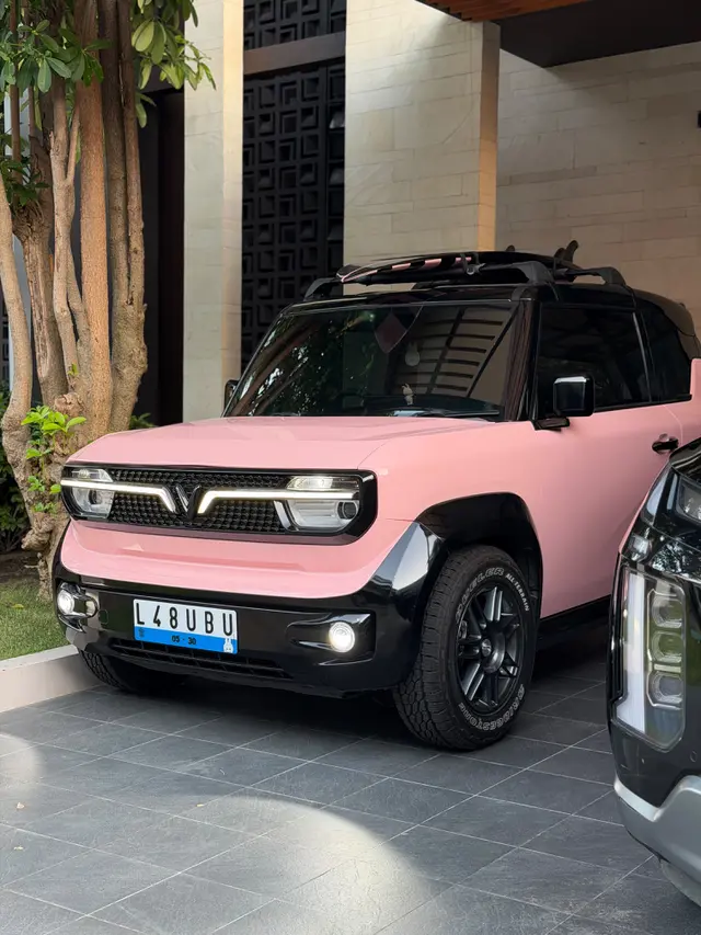 Pink VinFast VF 3 milik Max Cullen (doc. Liputan6.com)
