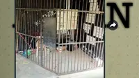Orangtua ngamuk mendapati sekolah di Malaysia diduga mengurung murid SD di ruangan mirip penjara. (dok. Twitter @AzuanMekanik/https://twitter.com/AzuanMekanik/status/1673583133156048896/photo/2)