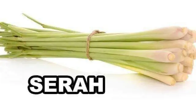 7 Meme Pelesetan Nama Barang Ini Bikin Tepuk Jidat