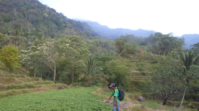 Perjalanan untuk menuju Gunung Tondong Karambu. (Dok: Gunung Bagging https://www.gunungbagging.com/tondongkarambu/)