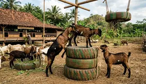 7 Ide Kreatif Memanfaatkan Ban Bekas untuk Kandang dan Ternak, Lengkap Cara Buatnya